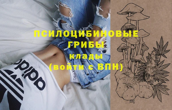 2c-b Алексин