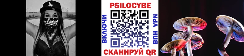 Псилоцибиновые грибы прущие грибы нарко площадка какой сайт Змеиногорск